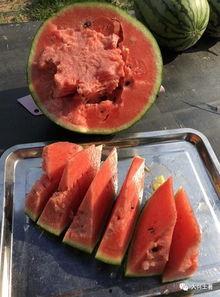 近一年吃瓜事件网红,网红事件盘点 第2张 近一年吃瓜事件网红,网红事件盘点 第2张