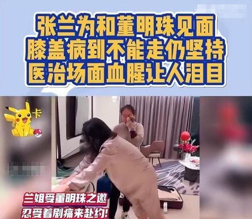 张岚最新爆料视频,惊人内幕曝光！