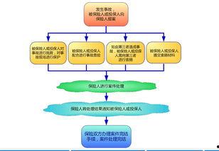 保险理赔爆料流程视频讲解,视频详解与实操指南 第2张 保险理赔爆料流程视频讲解,视频详解与实操指南 第2张